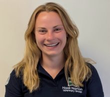 From Calves to Disco Chickens: A Day in the Life of a Farm Vet