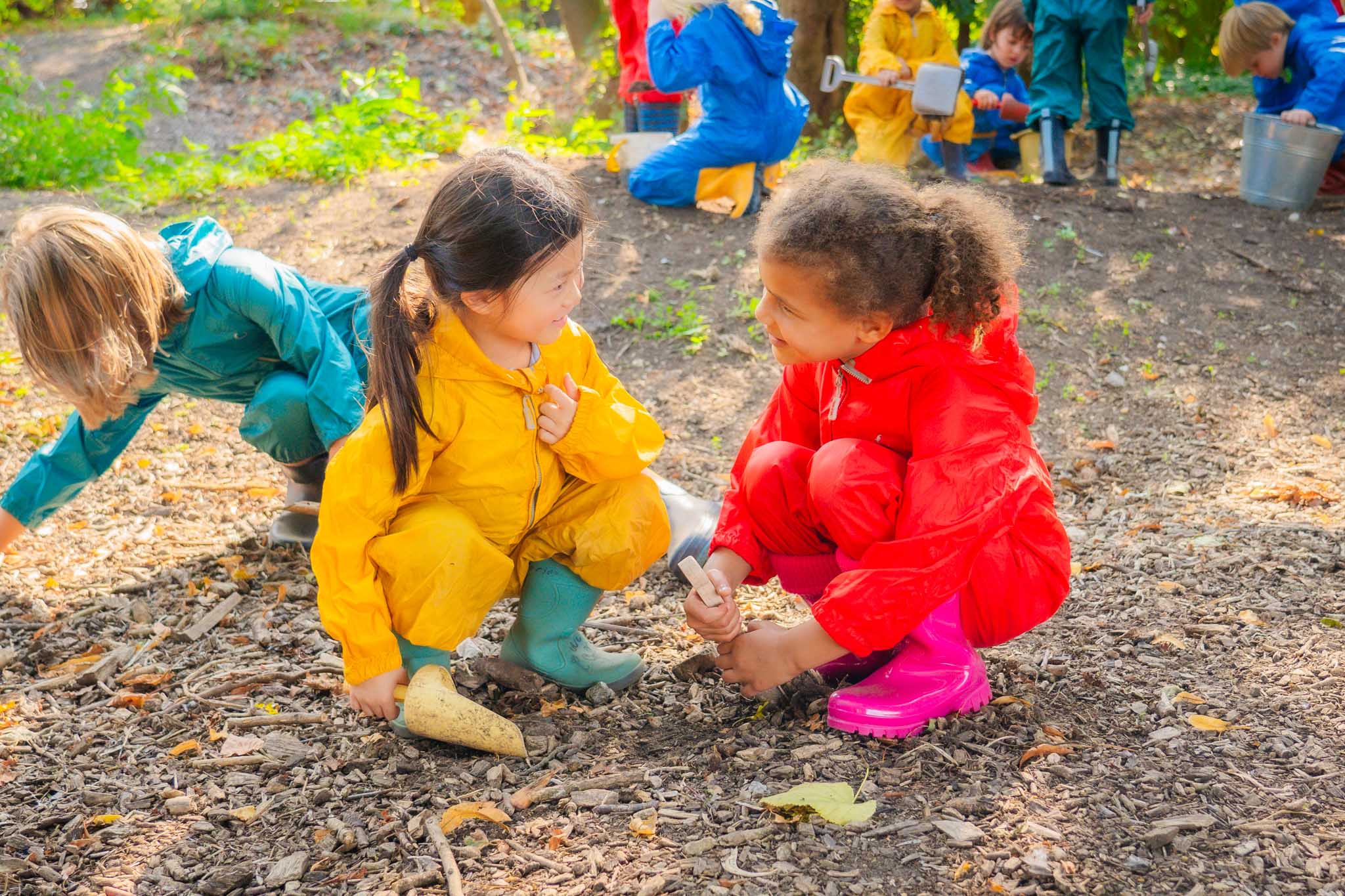 Discover Alleyn's Oakfield