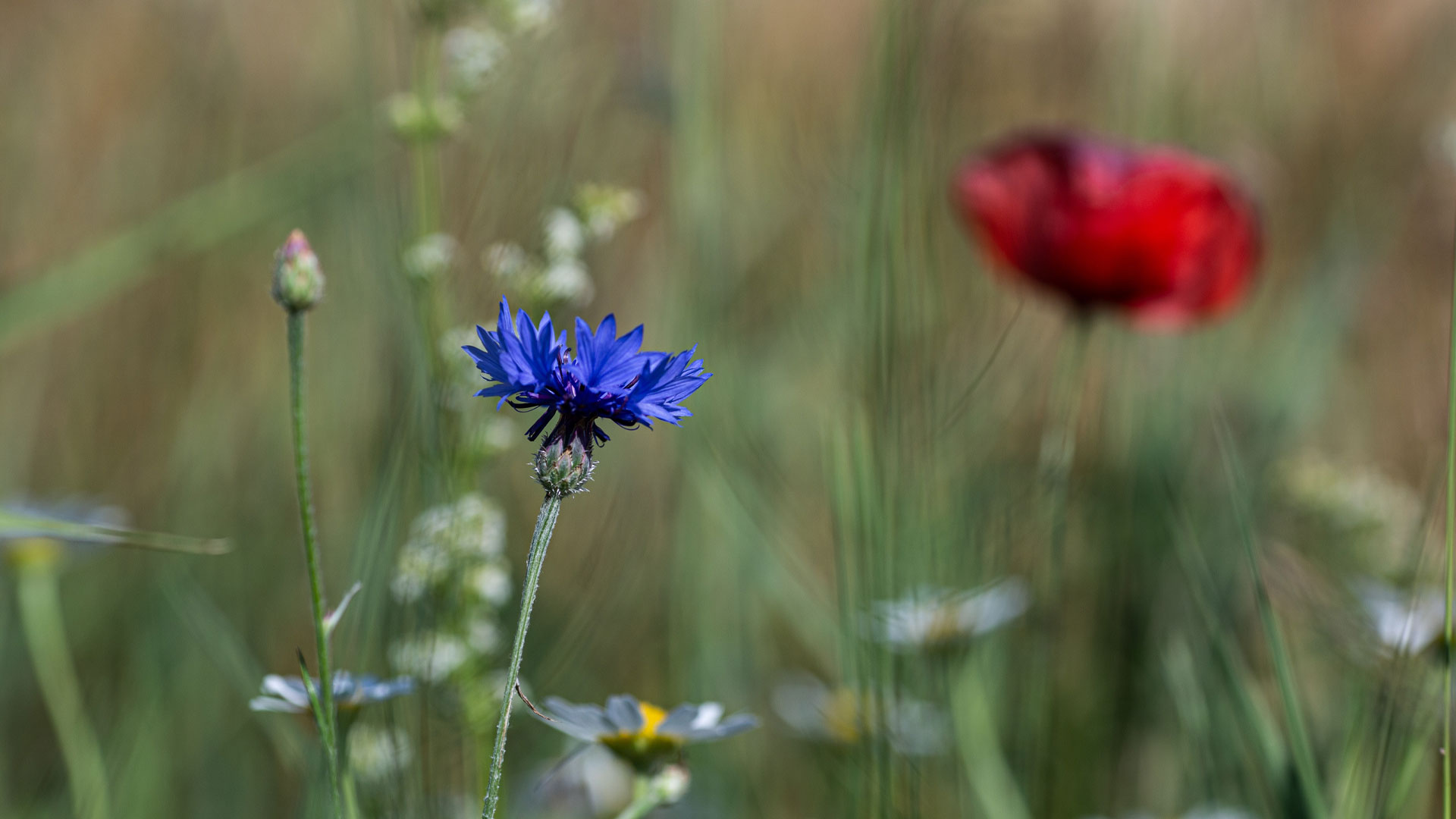 Policies and Reports