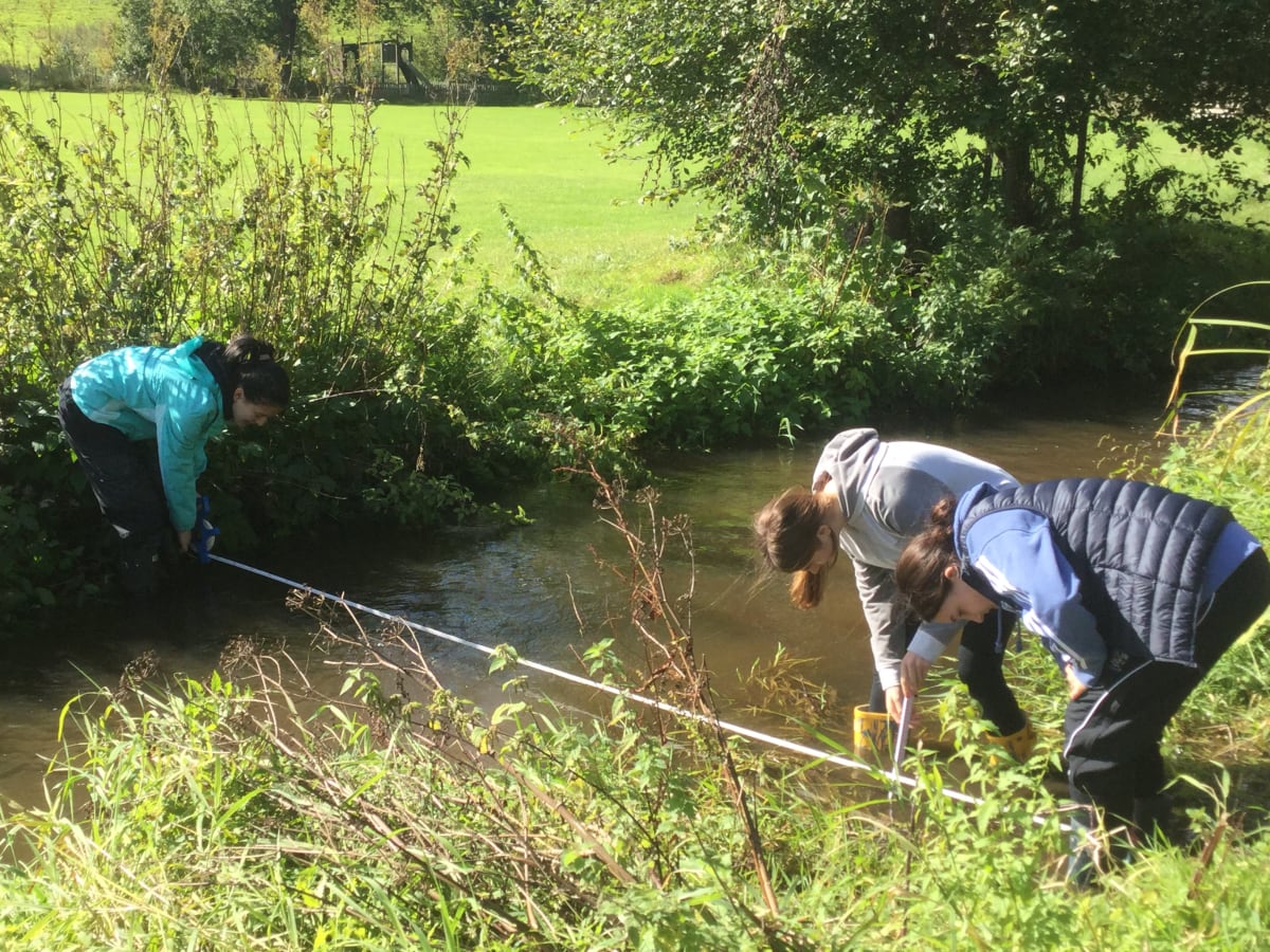 Year 10 Geographers Visit River Tillingbourne