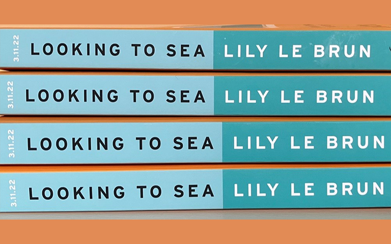 ‘Looking to Sea – Britain through the eyes of its Artists’ - Lily Le Brun (Roper's 2004)